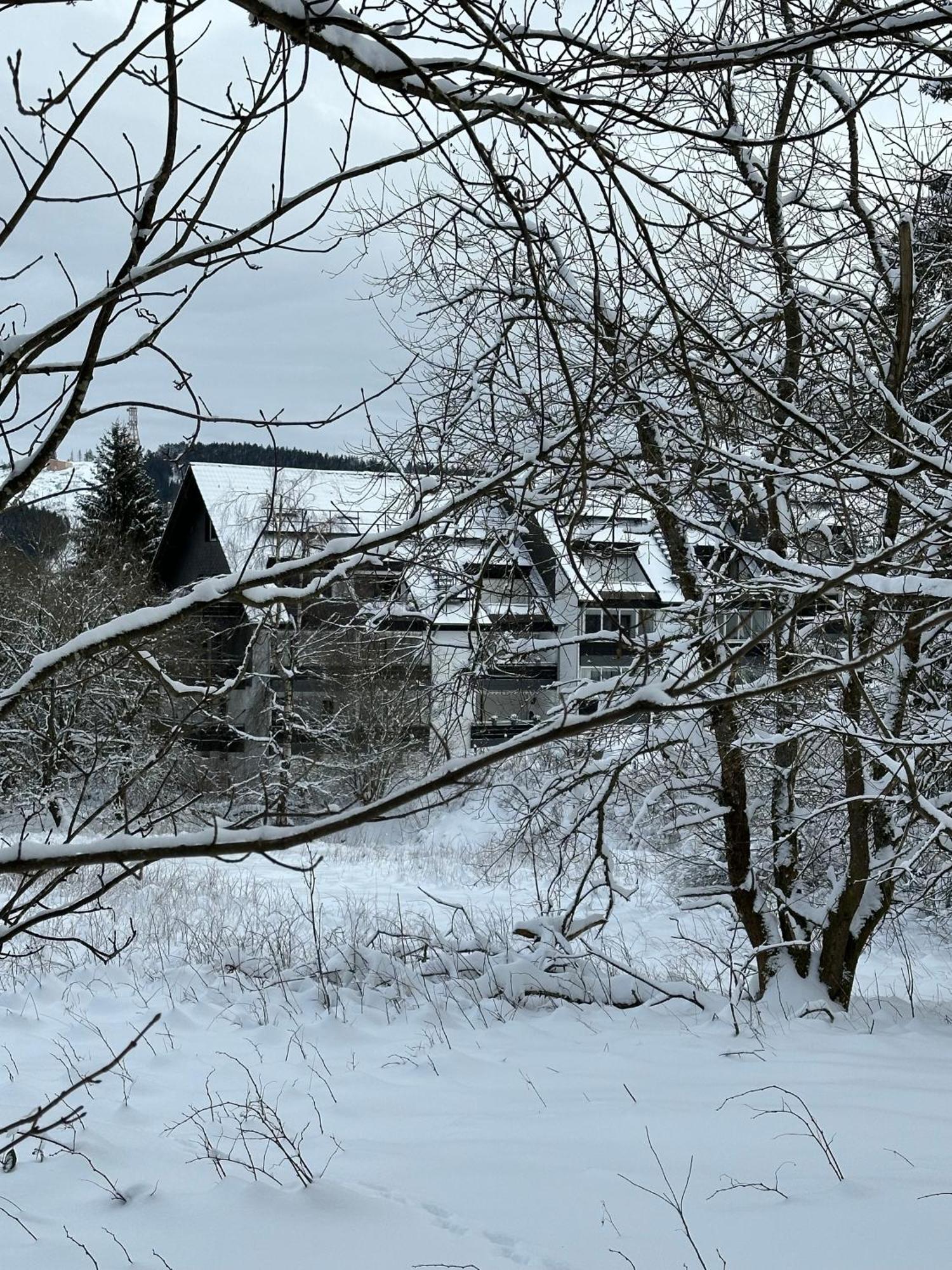 Ferienwohnung Waldgaenger Hahnenklee Goslar Exterior photo